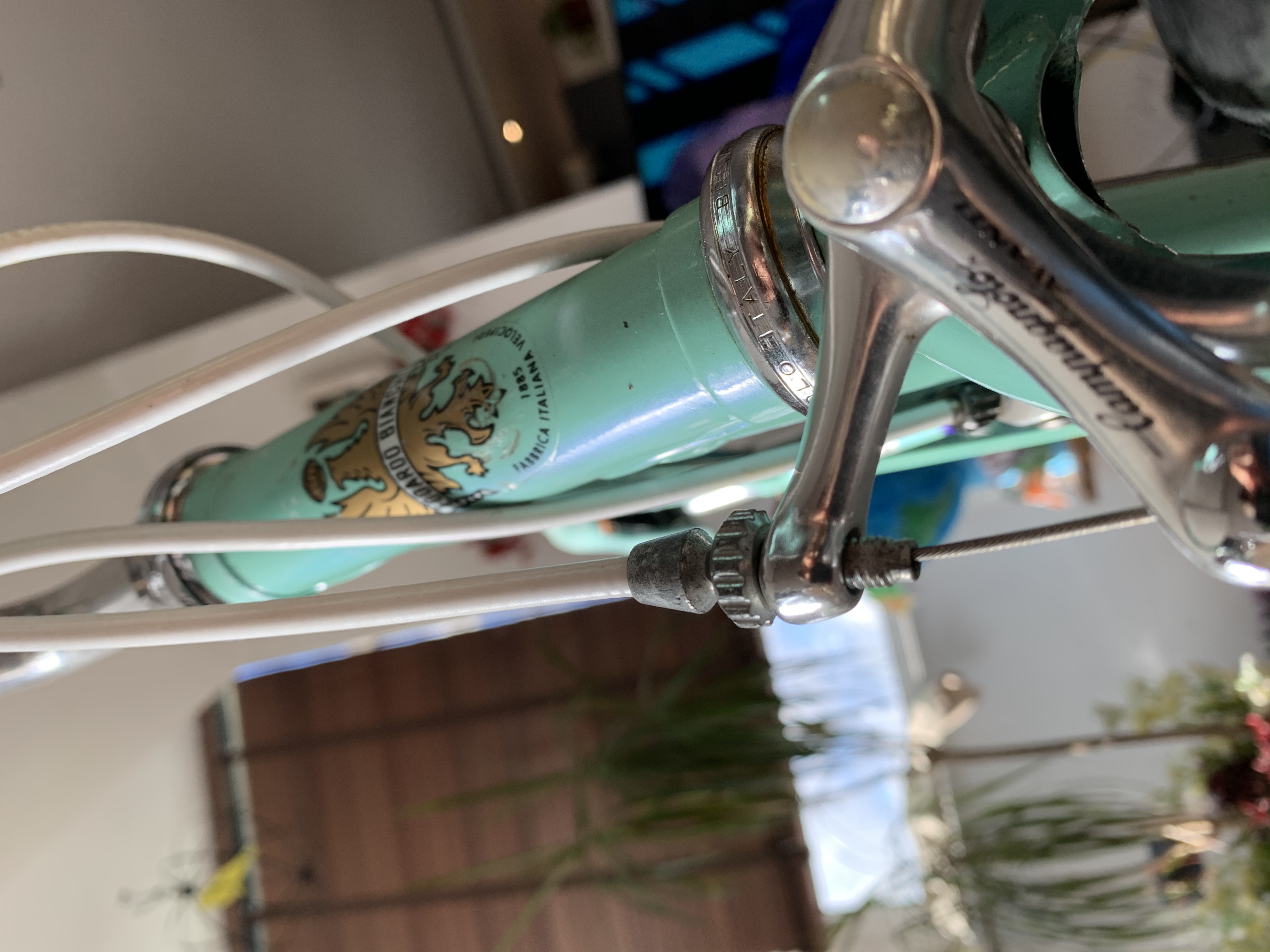 Shitet Biciklet Bianchi full Campagnolo group