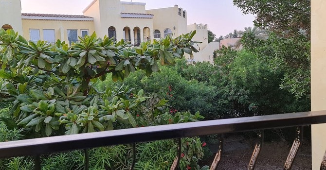 Okazion shitet Vile ne Dubai