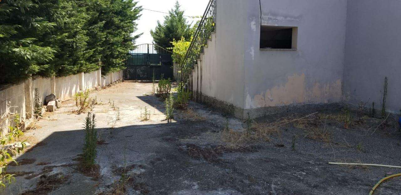 Shitet Super Vile 2 kateshe ne Arapaj