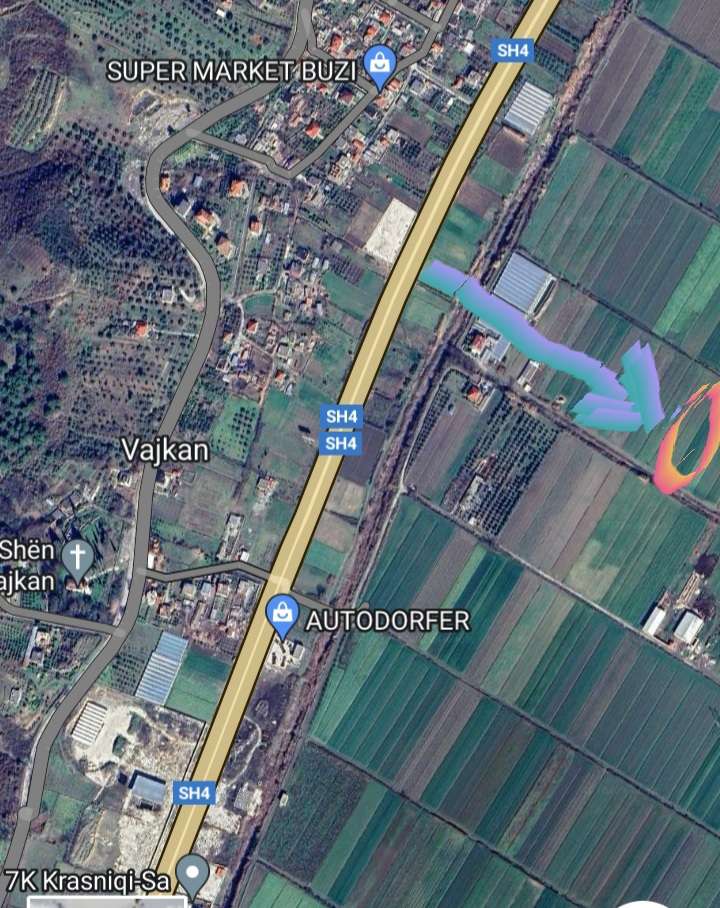Shitet Toke Are ne fshatin Vajkan te Fierit
